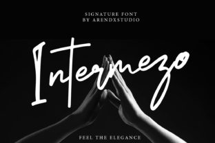 Intermezo: A Fun and Cool Script for Modern Web Design